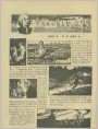 大自然的命名者 ——林奈