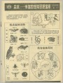 森林--丰富的生物资源宝库