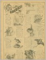 鱼族奇观