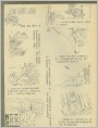 海豚岛