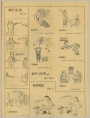 孔雀开屏有感