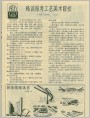 装饰图案选登