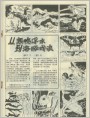 从寒鸭浮水到海豚戏浪