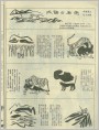 成语和老虎
