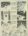 数相纸
