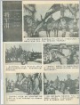 将军泪