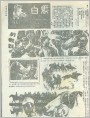 白马