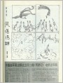 凤落鸡群