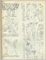 征婚启事